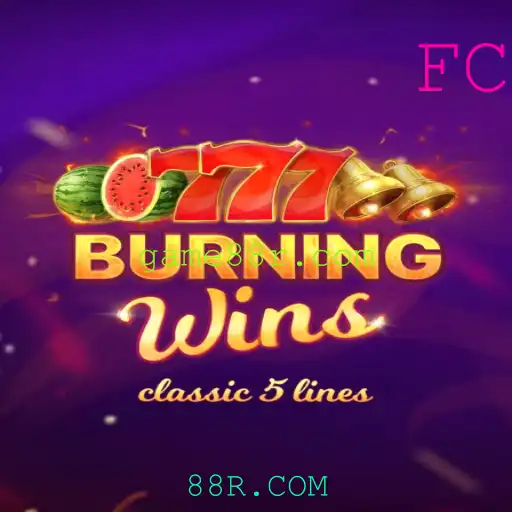Explorando os Detalhes do Jogo BurningWins