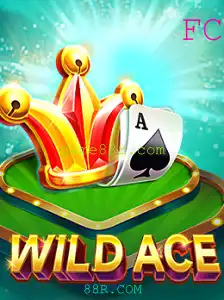 Descubra o Mundo Empolgante de WildAce no 88R.COM